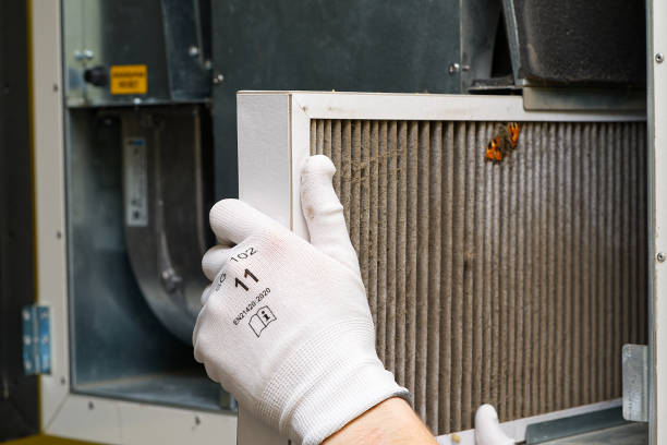 Best Affordable Duct Cleaning Services  in Nashville, AR