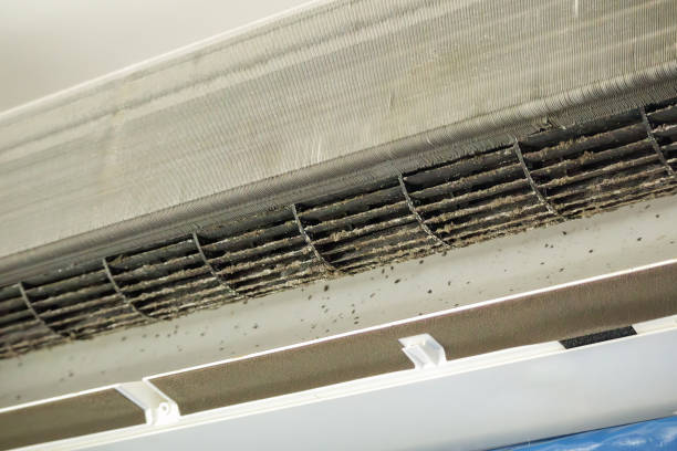 Best Air Vent Cleaning Services  in Nashville, AR